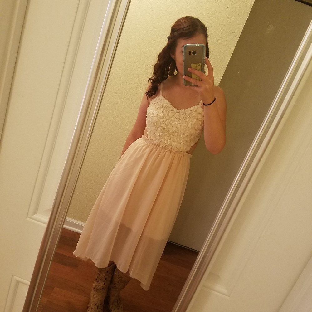 Blush, high low dress. Backless